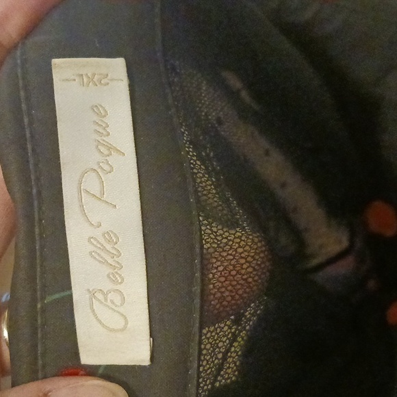 Belle Poque Dress With Cherries 2xl - Picture 7 of 7